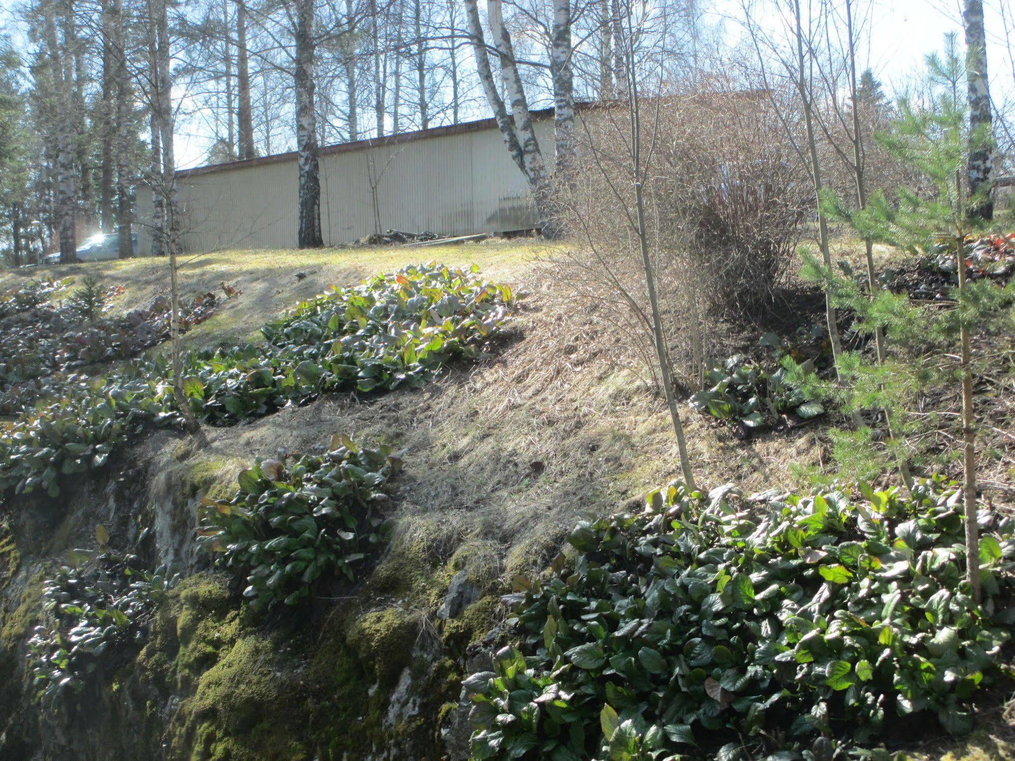 Huoneistohotelli Tarjanne เวียรัต ภายนอก รูปภาพ